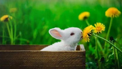 Jiuyou：用时间打磨的生活美学